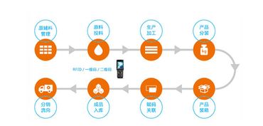 構建智慧防線 水產品質量追溯系統與信息安全軟件開發雙管齊下，保障您的食用安全